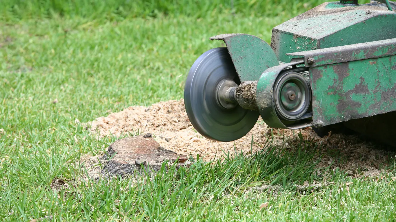 stump grinding Weybridge